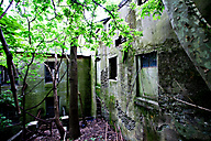 Abandoned Greenhouse