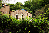 Abandoned Greenhouse