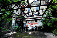 Abandoned Greenhouse