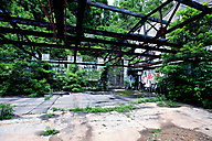 Abandoned Greenhouse