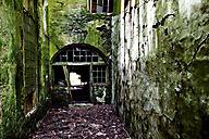 Abandoned Greenhouse