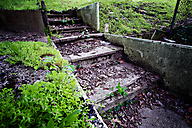 Abandoned Greenhouse
