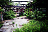Abandoned Greenhouse