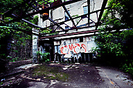 Abandoned Greenhouse