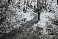 Fairmount Park