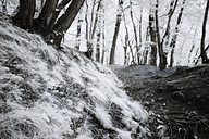 Fairmount Park