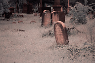 Laurel Hill Cemetery