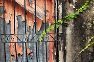 North Philly