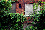 Strawberry Mansion