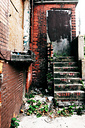 Strawberry Mansion