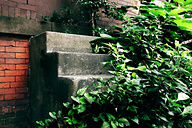Strawberry Mansion