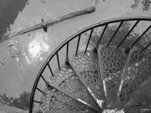 Stairs, Fairmount Park