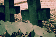 Laurel Hill Cemetery