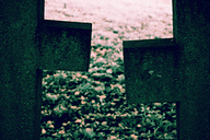 Laurel Hill Cemetery
