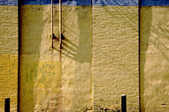 50/c0631 3192