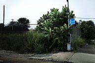 50/c0632 3209