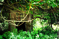Ft Washington