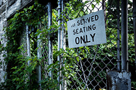 Strawberry Mansion