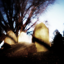 Laurel Hill Cemetery
