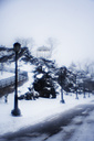 Snow, Fairmount Park