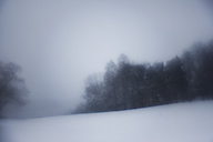 Snow, Fairmount Park