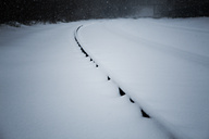 Snow, Fairmount Park