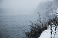Snow, Fairmount Park