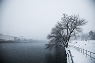 Snow, Fairmount Park