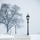 Snow, Fairmount Park