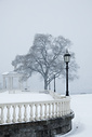 Snow, Fairmount Park