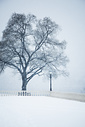 Snow, Fairmount Park