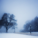 Snow, Fairmount Park