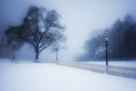 Snow, Fairmount Park
