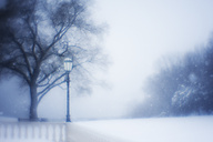 Snow, Fairmount Park