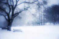 Snow, Fairmount Park