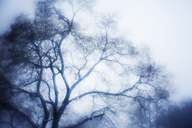 Snow, Fairmount Park