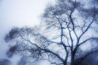 Snow, Fairmount Park