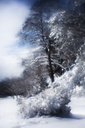 Snow, Fairmount Park