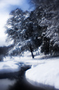 Snow, Fairmount Park