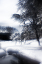 Snow, Fairmount Park