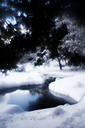 Snow, Fairmount Park