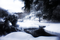 Snow, Fairmount Park
