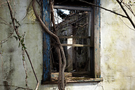 Abandoned Houses, Port Deposit