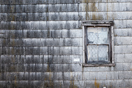 Abandoned Houses, Port Deposit