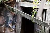 Abandoned Houses, Port Deposit