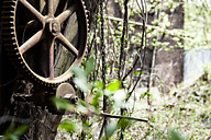 Abandoned Factory