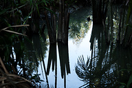 Mekong Delta, Vietnam