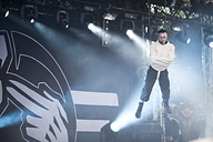 Agonoize, Amphi Festival