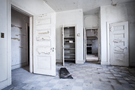 Abandoned House, DE