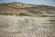 Curonian Spit, Lithuania